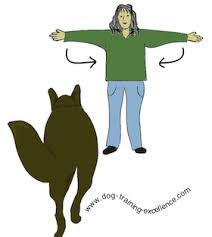 Dog Training Hand Signals A Picture Instructional Guide