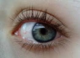 منى الشهري Adli Kullanicinin Estilo De Maquillaje Blog Panosundaki Pin Yesil Gozler Gozler Goz Rengi