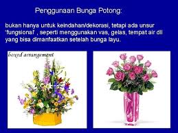 Oleh sebab itu, sebaiknya rutin membersihkan bunga es dalam kulkas agar kerjanya dapat terus optimal. Tanaman Hias Industri Bunga Ir Rahmawati Mp Budidaya