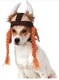 145 Of The Best Viking Dog Name S Labrottie Com Viking dog names are some of the most unique and beautiful names you can give to your pet. 145 of the best viking dog name s