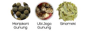 Jamu seri dewi malam : Serum Ketatkan Faraj