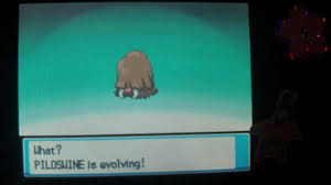 How To Evolve Piloswine Into Mamoswine Pokemon Heart Gold And Soul Silver