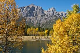 Alpine Peak Photography: Canmore Wedding Photographer