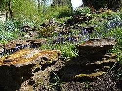 Will the garden take up a large portion of your yard, or will it be confined to a flower bed? Rock Garden Wikipedia
