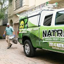 Through green pest control, we ensure that your family, including your pets, aren't exposed to the harsh. Natran Green Pest Control Home Facebook