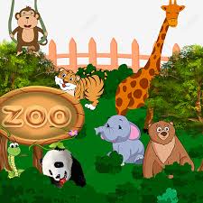 Memberi makanan kepada hewan hewan koleksi maharani zoo secara langsung. Gambar Ilustrasi Haiwan Di Zoo Clipart Zoo Monyet Gajah Png Dan Psd Untuk Muat Turun Percuma