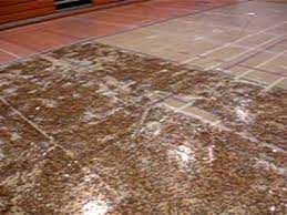 We did not find results for: How Much Is 3 Million Pennies Simple New Yorker