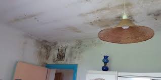 Le choc thermique entre l'air froid extérieur et la chaleur intérieur (bien que je ne surchauffe pas. Humidite Maison Lille Mur Humide Que Faire Nord Humidite Com