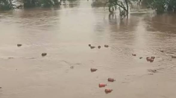 মহারাষ্ট্রে বন্যার জেরে নদীতে ভেসে গেল প্রায় ৩ হাজার এলপিজি সিলিন্ডার, সতর্ক প্রশাসন – Jagarantripura.com