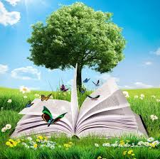 La Surefficience Mentale Quand Le Mental Envahit Tout Art De La Photographie Livres A Lire Arbre De Vie