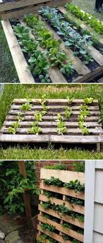 fun diy pallet ideas 30 pics pallets garden pallet garden garden projects