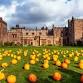 Halloween Family Festival - Muncaster Castle Event Image