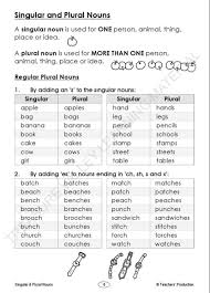 Pin By Dayanny Waite On Learning Tools In 2020 Singular Nouns Singular And Plural Nouns Plurals