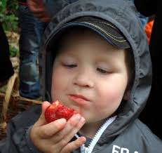 08. Ausgabe 23.08.2014 21. Jahrgang Die nächste Ausgabe erscheint am 27.  September 2014. Redaktionsschluss ist der 15. Septembe