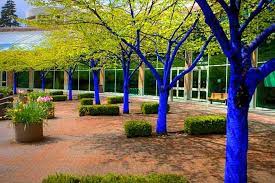 See only photos or all resources. Bright Painting Ideas For Decorating Trees Creative Backyard Ideas