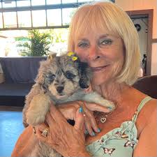 Joy Brandel(@purelyjoystore) • Instagram 사진 및 동영상