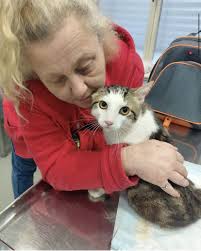 Fundraiser by Birte Schneider : Daniela- Katzenmama mit Leib und Seele  braucht uns!!