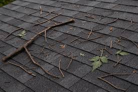 Safe Ways to Clear Debris After a Storm | Mountain View Exteriors