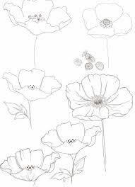 B1949737a3acab691e01bed5bb04e8d9 Jpg 640 884 Pencil Drawings Of Flowers Flower Sketches Flower Drawing