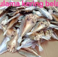 You are an anchovy, you shoeless small fry. Ikan Masin Gelama Photos Facebook
