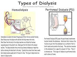 Pin On Homeostasis