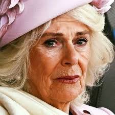 Queen Camilla's health update surprises many