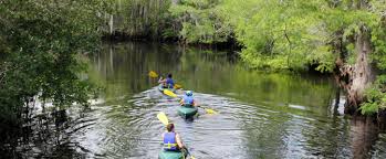 Whether you enjoy long walks on the beach, collecting shells, building sandcastles or swimming, florida state parks offer some of the best beaches in the u.s. Jonathan Dickinson State Park Florida State Parks