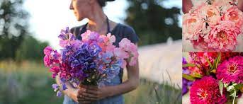 July, march, april are very popular times to visit florida. Breathtaking April Flowers That In Season Agriculture Information Bank