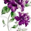 You can also use all purple flower images for commercial use. 1