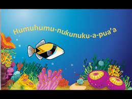 If you plan to visit or live in hawaii, you will need to know how to pronounce the following commonly used words and phrases. Humuhumu Nukunuku A Pua A Humu Song Youtube