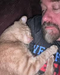 Kevin Seal's Instagram, Twitter & Facebook