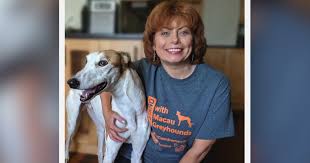 Friends of the hound (and nsw) gumtree greys (also operate in nsw/vic) animals in need brisbane; Adopt A Greyhound Grey2k Usa Worldwide