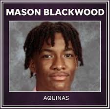 The Democrat and Chronicle announces 14 winter All-Greater Rochester teams  which honor the best athletes in the region.