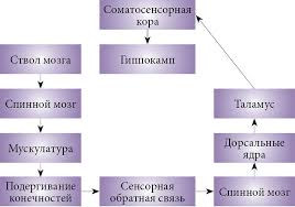 Check spelling or type a new query. Formirovanie Sostoyaniya Sna V Ontogeneze I Voznikayushie Pri Etom Problemy Umedp