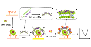 Self-Assembling Peptide-Based Multifunctional Nanofibers for  Electrochemical Identification of Breast Cancer Stem-like Cells