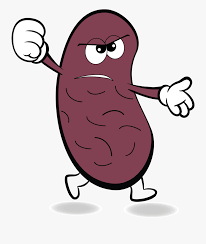 Clip Art Cartoon Kidney Cartoon Fruit Free Transparent Clipart Clipartkey A kidney transplant is a surgical procedure that's done to treat kidney failure. clip art cartoon kidney cartoon fruit