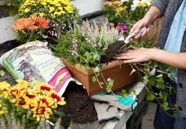 Nach den kalten und grauen wintermonaten freut sich jeder wieder. Obi Balkon Und Beetberater Infos Zu Balkonblumen