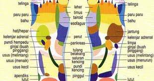 Jika ini berlaku, pesakit sukar buang air kecil, urine terkumpul di dalam pundi kencing. Pundi Kencing In English