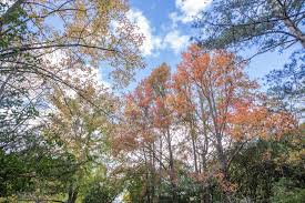 121,445 likes · 4,299 talking about this · 36,028 were here. æ­¦é™µè¾²å ´ è‡ºä¸­è§€å…‰æ—…éŠç¶²taichung Tourism