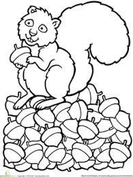 Color The Squirrel Fall Coloring Pages Squirrel Coloring Page Coloring Pages
