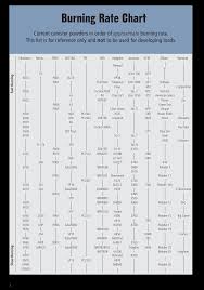 Burning Rate Chart Templates At Allbusinesstemplates Com