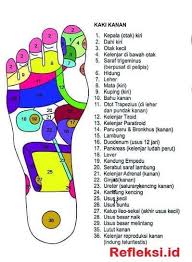 Titik Refleksi Telapak Kaki Kanan Refleksiologi Sistem Tubuh Manusia Terapi Kaki