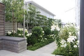 Hedge Garden Design Topiary Plants For Sale Wellington Tuin