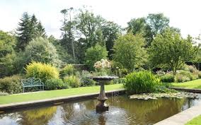 Can i use an algaecide to control pond algae? How To Keep Pond Water Clear The Telegraph