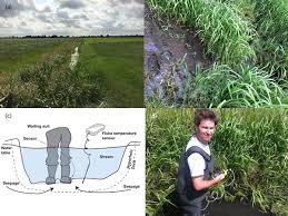 Kilian baumann is on facebook. Bg Relations Ideas And Perspectives Tree Atmosphere Interaction Responds To Water Related Stem Variations
