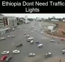 That S Gotta Be The Best Pirate I Ve Ever Seen Meme Compilation Pin On A Miscellaneous Dump