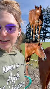 What’s your fav horse color and do you own one? #horses #horseriding  #horsefarm #barn