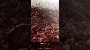 حمسة البخور الدوسري Youtube