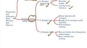 Bab 2 struktur dan fungsi daun. Biologi Bab 2 Bahagian 1 Pergerakan Dan Sokongan Spm Tingkatan 5 Youtube