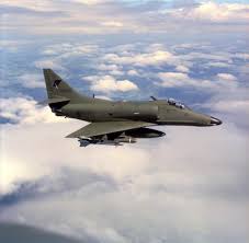 Image result for Gris 1995 Fleet